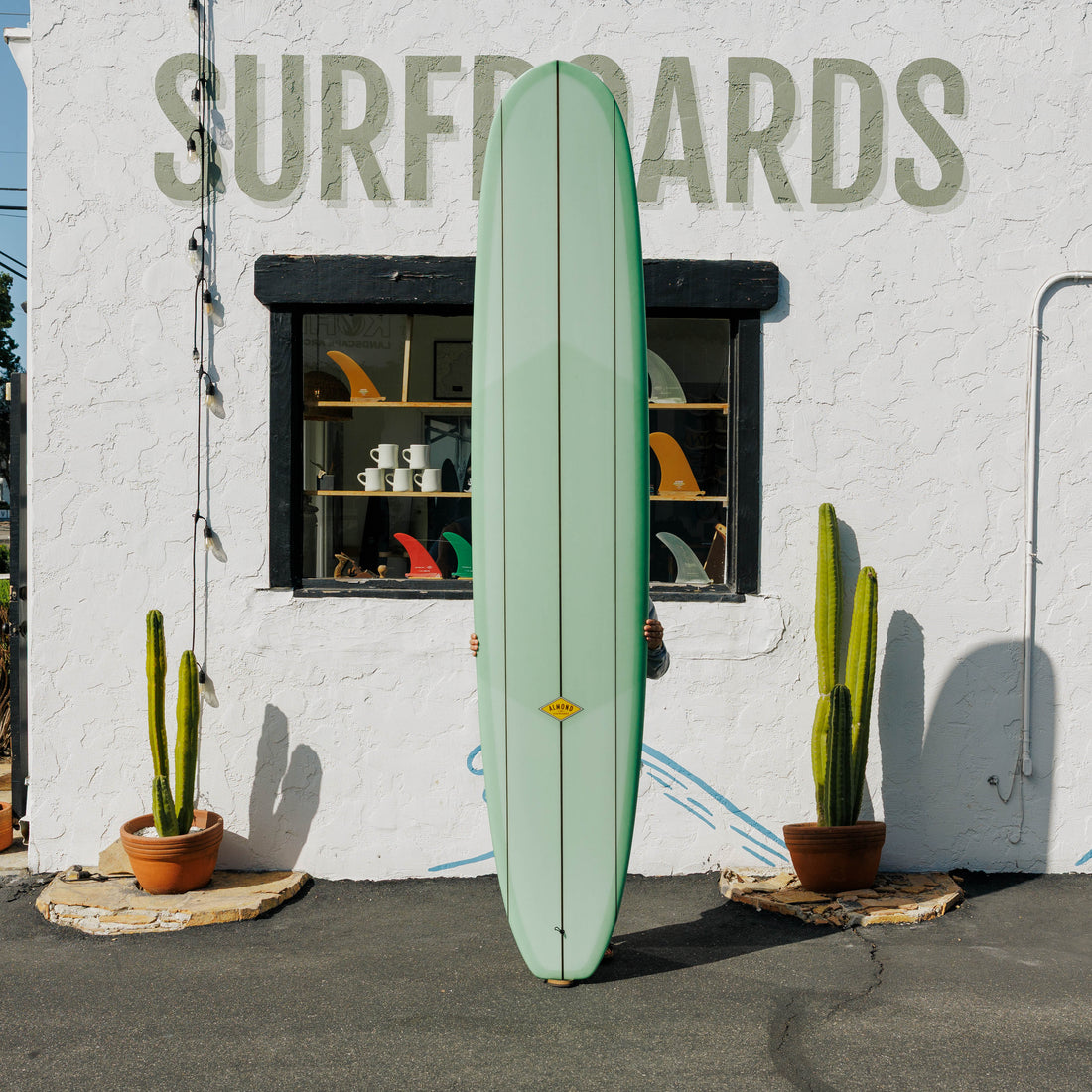 10'0 The Sage Model #10139